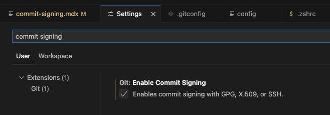 Image showing the settings in VS Code